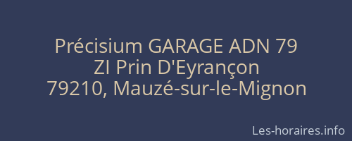 Précisium GARAGE ADN 79