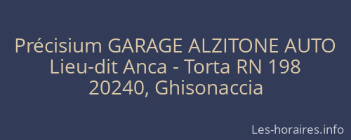 Précisium GARAGE ALZITONE AUTO