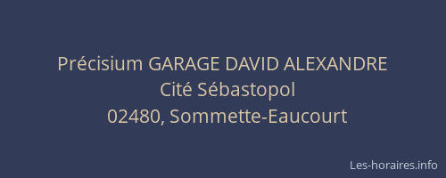 Précisium GARAGE DAVID ALEXANDRE