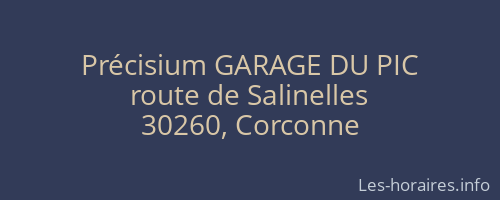 Précisium GARAGE DU PIC