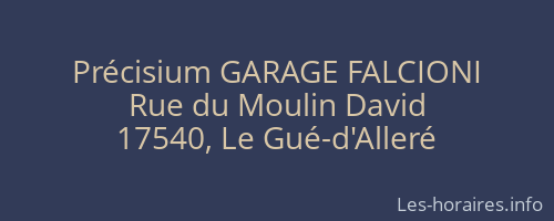 Précisium GARAGE FALCIONI