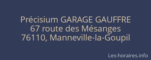 Précisium GARAGE GAUFFRE