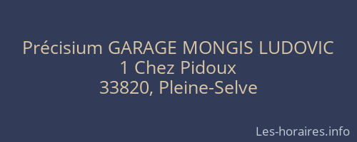 Précisium GARAGE MONGIS LUDOVIC