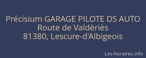 Précisium GARAGE PILOTE DS AUTO