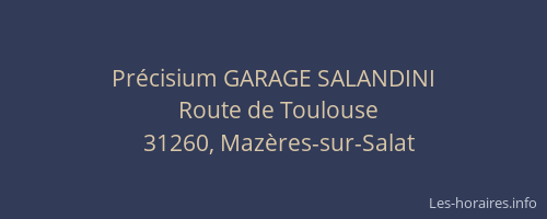 Précisium GARAGE SALANDINI