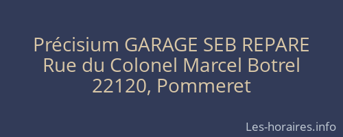 Précisium GARAGE SEB REPARE