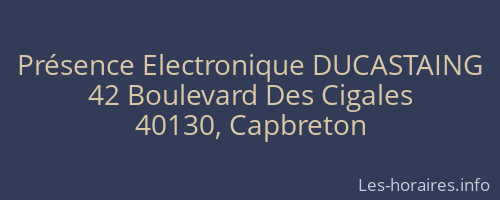Présence Electronique DUCASTAING