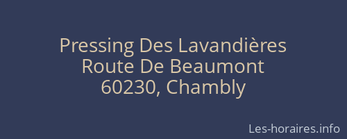 Pressing Des Lavandières
