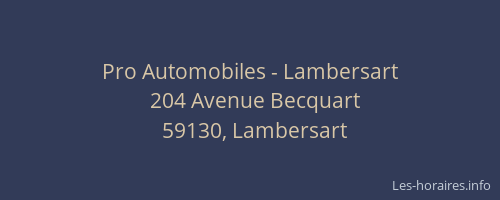 Pro Automobiles - Lambersart