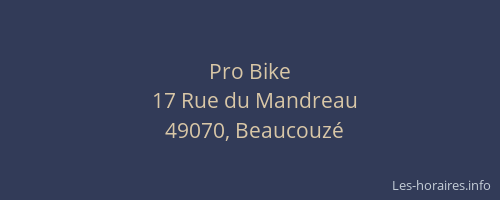 Pro Bike