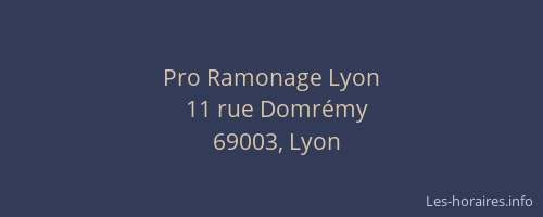 Pro Ramonage Lyon