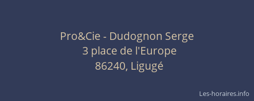 Pro&Cie - Dudognon Serge
