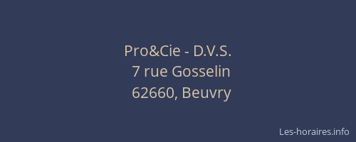 Pro&Cie - D.V.S.