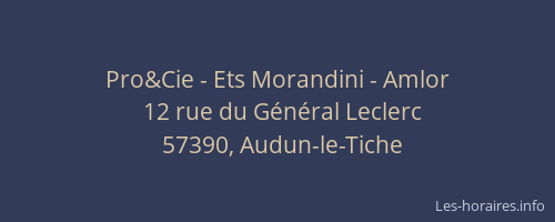 Pro&Cie - Ets Morandini - Amlor