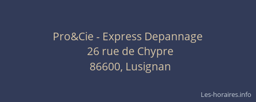 Pro&Cie - Express Depannage