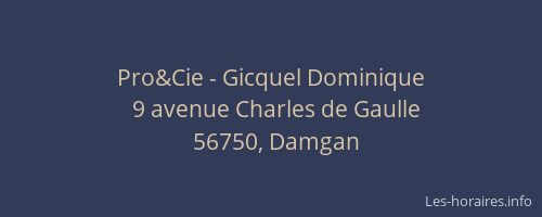 Pro&Cie - Gicquel Dominique