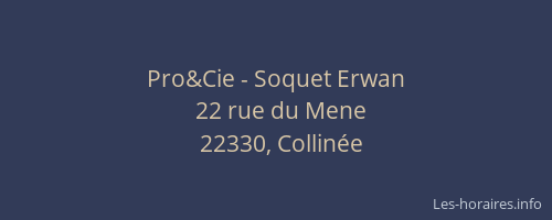 Pro&Cie - Soquet Erwan