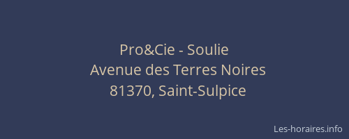 Pro&Cie - Soulie