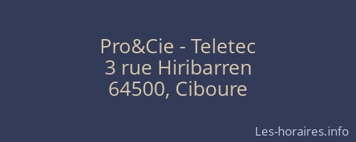 Pro&amp;Cie - Teletec
