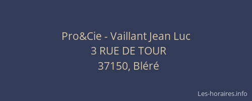 Pro&Cie - Vaillant Jean Luc