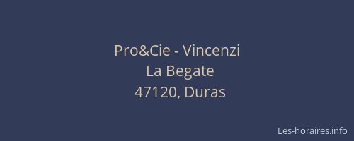 Pro&Cie - Vincenzi