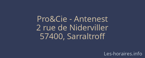 Pro&Cie - Antenest