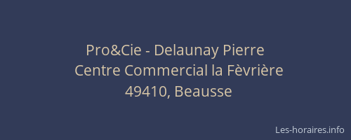 Pro&Cie - Delaunay Pierre