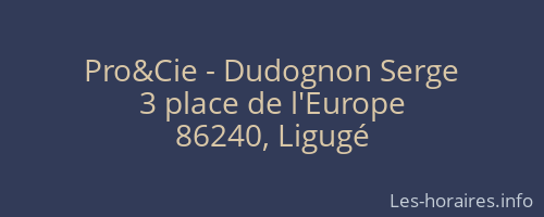 Pro&Cie - Dudognon Serge