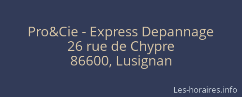 Pro&Cie - Express Depannage