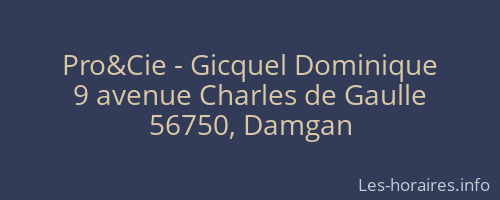 Pro&Cie - Gicquel Dominique