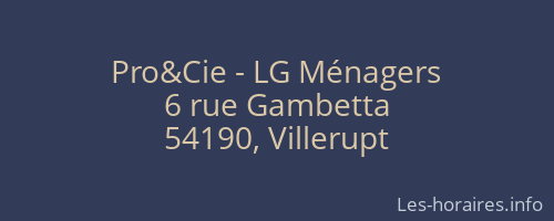 Pro&Cie - LG Ménagers