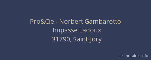 Pro&Cie - Norbert Gambarotto