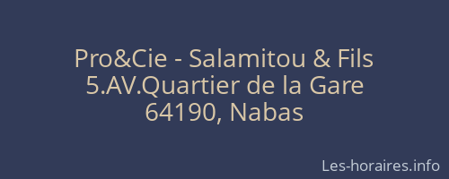 Pro&Cie - Salamitou & Fils
