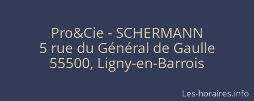 Pro&Cie - SCHERMANN