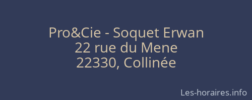 Pro&Cie - Soquet Erwan