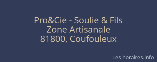 Pro&Cie - Soulie & Fils