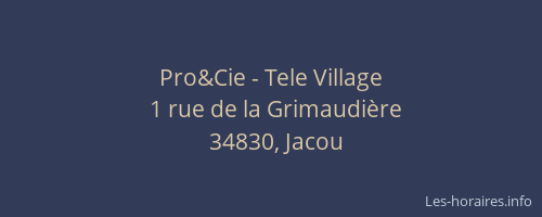 Pro&Cie - Tele Village