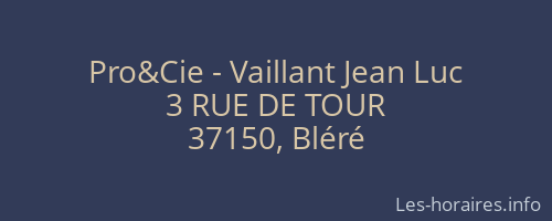 Pro&Cie - Vaillant Jean Luc