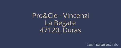 Pro&Cie - Vincenzi