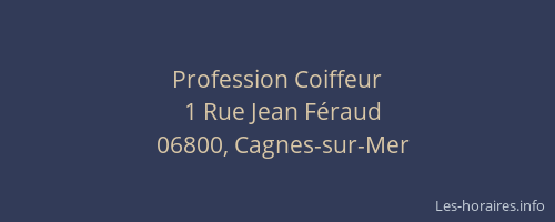 Profession Coiffeur