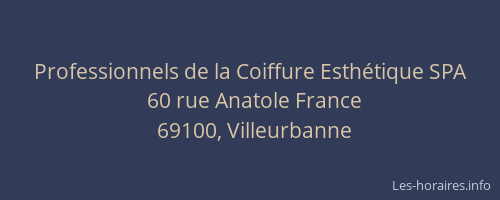 Professionnels de la Coiffure Esthétique SPA
