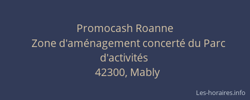 Promocash Roanne