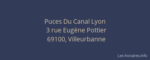Puces Du Canal Lyon