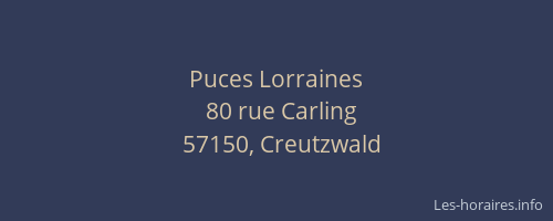 Puces Lorraines