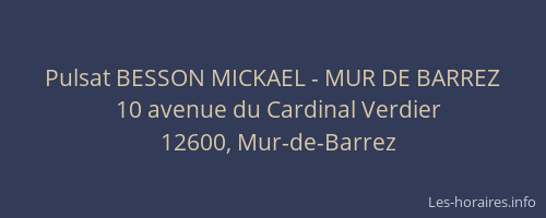 Pulsat BESSON MICKAEL - MUR DE BARREZ