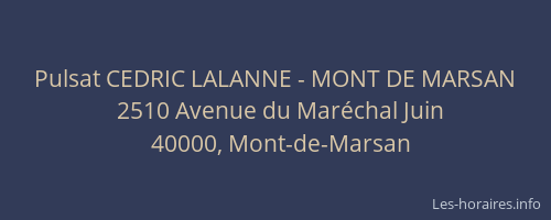 Pulsat CEDRIC LALANNE - MONT DE MARSAN