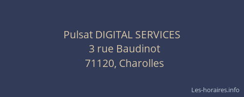 Pulsat DIGITAL SERVICES