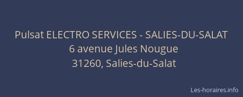 Pulsat ELECTRO SERVICES - SALIES-DU-SALAT