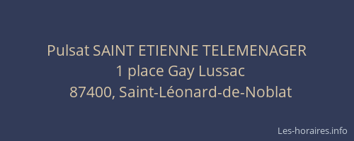 Pulsat SAINT ETIENNE TELEMENAGER