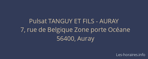 Pulsat TANGUY ET FILS - AURAY